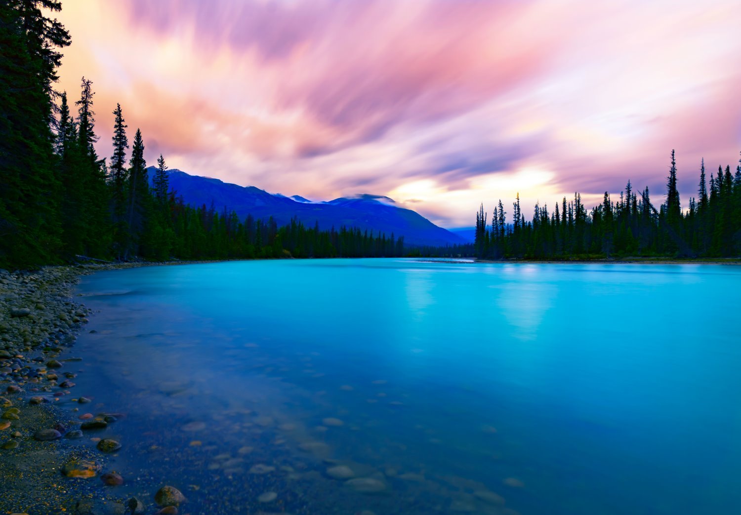 Beginner photography tips