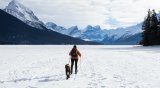 Cold-Weather Photography: How to (Safely!) Take Photos in the Cold