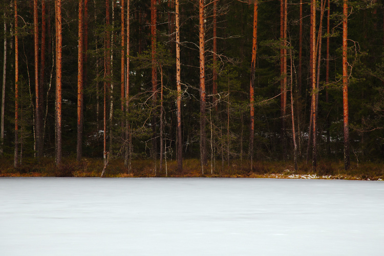 06 winter photography tips