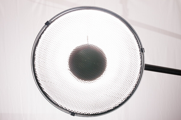 beauty dish with a grid