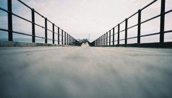 7 Tips for Amazing Low-Angle Photography