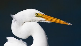 7 Photography Exercises to Take Your Images to the Next Level