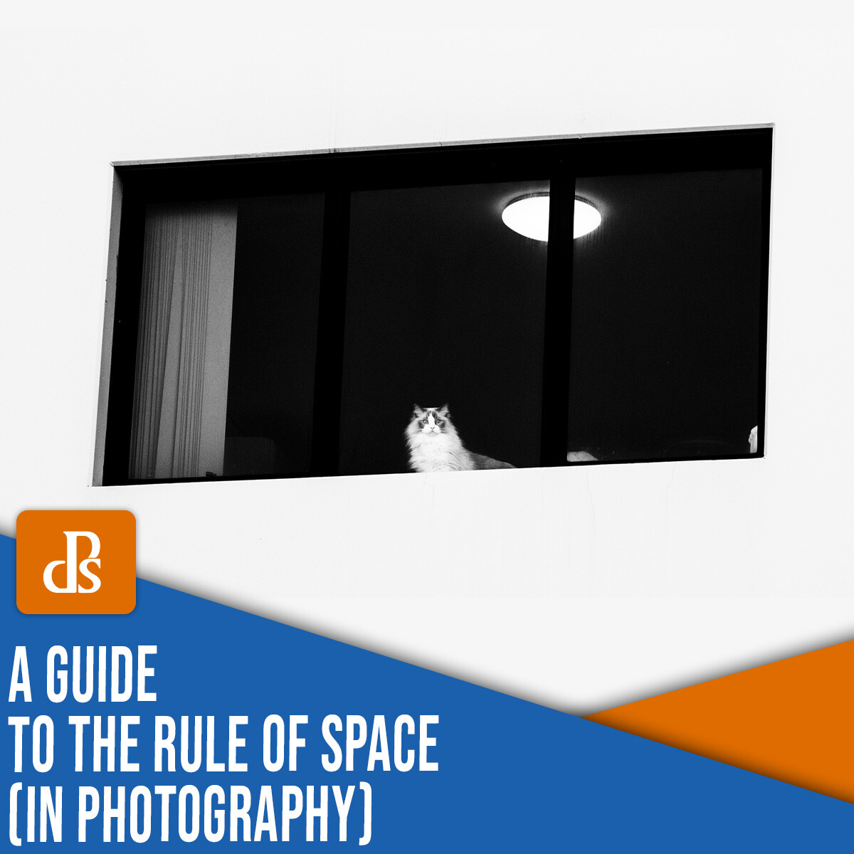rule of space in photography: a comprehensive guide (+ examples)