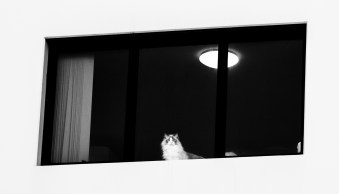 The Rule of Space in Photography: A Comprehensive Guide (+ Examples)