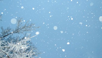 19 Snow Photography Tips (How to Capture Magical Snow Shots)